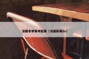 法国冬季赛季后赛（法国联赛ds）
