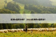 欧洲e组积分榜？ 2021欧洲杯e组积分？