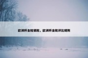欧洲杯金靴银靴，欧洲杯金靴评比规则