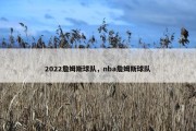 2022詹姆斯球队，nba詹姆斯球队