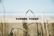 中立球场赛程，中立区篮球