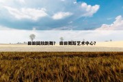 田田回放跳舞？ 田田舞蹈艺术中心？