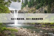 孙兴慜英超合集，孙兴慜英超最佳视频