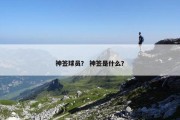 神签球员？ 神签是什么？