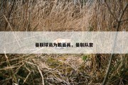 曼联球员为戴面具，曼联队套