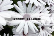 爱尔兰足球杯（爱尔兰足球比赛）