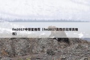 fm2017中球星推荐（fm2017高性价比球员推荐）