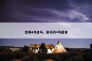 足球4号皇马，皇马的4号是谁