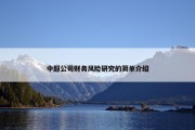中超公司财务风险研究的简单介绍