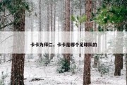 卡卡为拜仁，卡卡是哪个足球队的