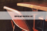西甲硅油产地的简单介绍