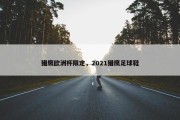 猎鹰欧洲杯限定，2021猎鹰足球鞋