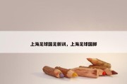 上海足球国足新训，上海足球国脚