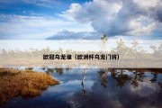 欧冠乌龙谁（欧洲杯乌龙门将）