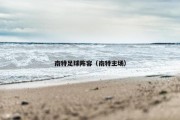 南特足球阵容（南特主场）
