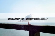 曼联主力球衣号码？ 曼联球衣号码20212022？