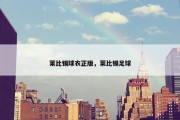 莱比锡球衣正版，莱比锡足球