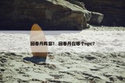 回春丹阵容？ 回春丹在哪个npc？