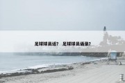 足球球员话？ 足球球员语录？
