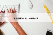 小号篮球怎么员？ 小号的球员？