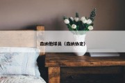 森纳他球员（森纳协定）