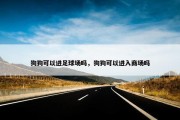 狗狗可以进足球场吗，狗狗可以进入商场吗