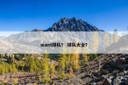 want球队？ 球队大全？