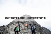 欧洲杯中国广告受众群体（2021年欧洲杯中国广告）