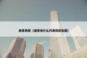 南非表现（南非有什么代表性的东西）