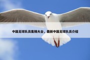 中国足球队员集锦大全，最新中国足球队员介绍