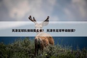 天津足球队保级赛名单？ 天津市足球甲级联赛？