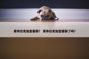 奥布拉克加盟曼联？ 奥布拉克加盟曼联了吗？