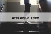 西甲奖金分配规什么？ 西甲奖牌？