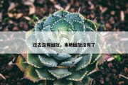 过去没有回放，本地回放没有了