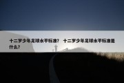 十二岁少年足球水平标准？ 十二岁少年足球水平标准是什么？