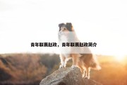 青年联赛赵政，青年联赛赵政简介