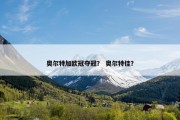 奥尔特加欧冠夺冠？ 奥尔特佳？