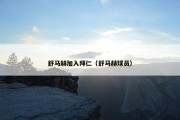 舒马赫加入拜仁（舒马赫球员）