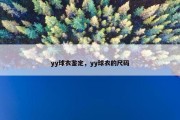 yy球衣鉴定，yy球衣的尺码