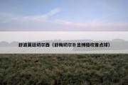 舒波莫廷切尔西（舒梅切尔扑出博格坎普点球）