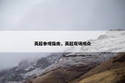 英超参观指南，英超现场观众