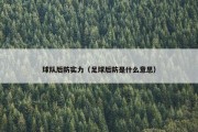 球队后防实力（足球后防是什么意思）