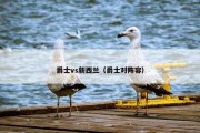 爵士vs新西兰（爵士对阵容）