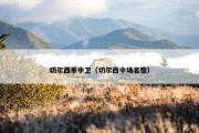 切尔西单中卫（切尔西中场名宿）