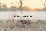 isu速滑？ ISU速滑认证？