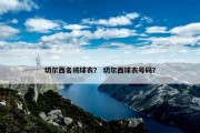 切尔西名将球衣？ 切尔西球衣号码？