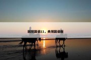 回放国语11，央视国语版