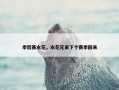 季后赛水花，水花兄弟下个赛季回来