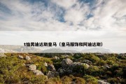 t恤男迪达斯皇马（皇马服饰和阿迪达斯）
