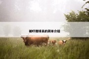被吓傻球员的简单介绍